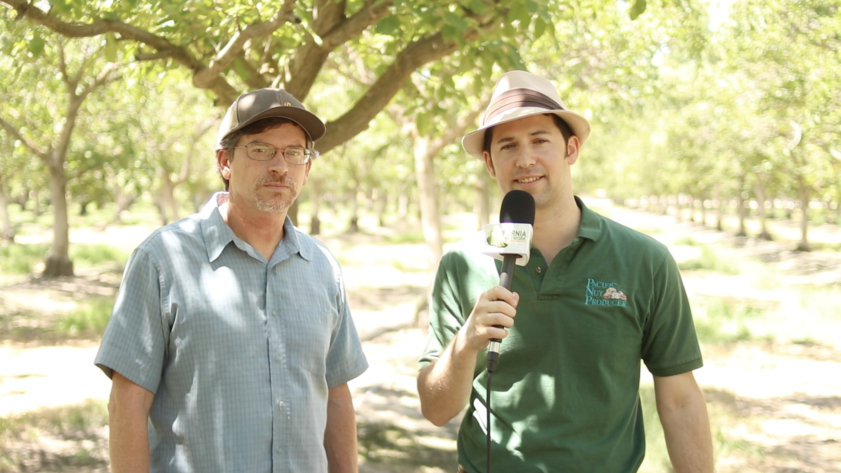Is Overwinter Orchard Flooding a Good Option for Groundwater Recharge?