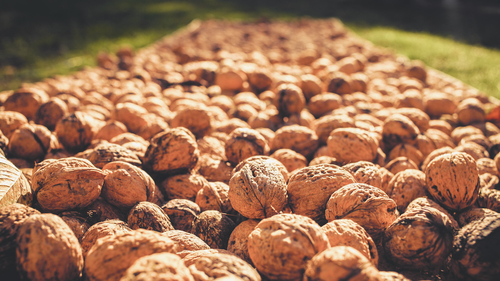 Walnut Bargaining Association Asks Handlers to Hold Off on Setting Prices