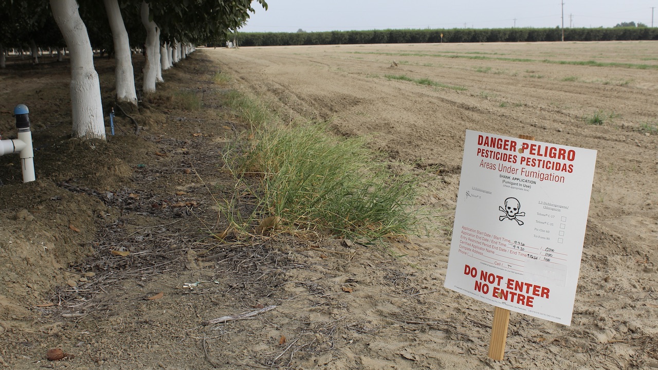 Fumigation Considerations Before Replanting an Orchard
