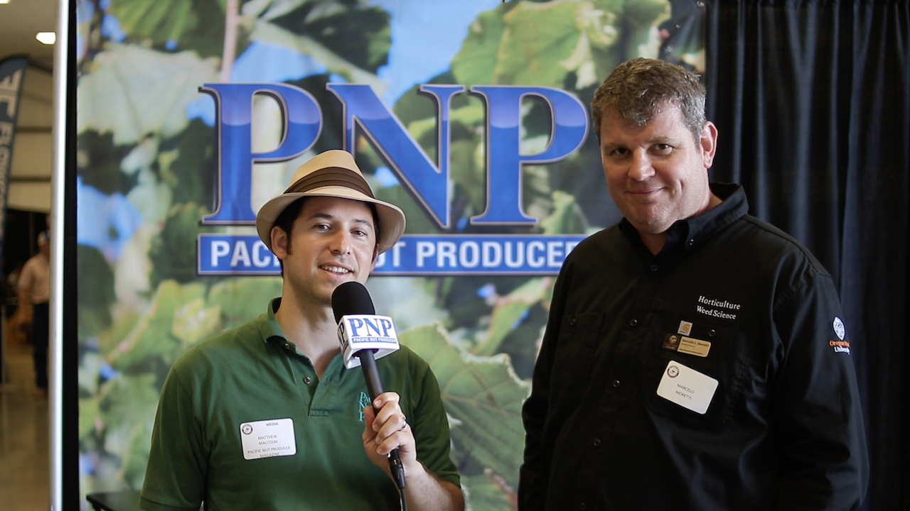 Sucker Control Options for Hazelnut Growers
