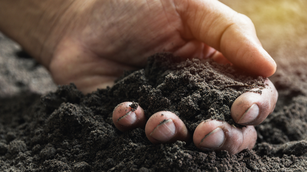 Growers No Longer Need Compromises with Fumigation and Nematicides with GroPro’s Vigilance