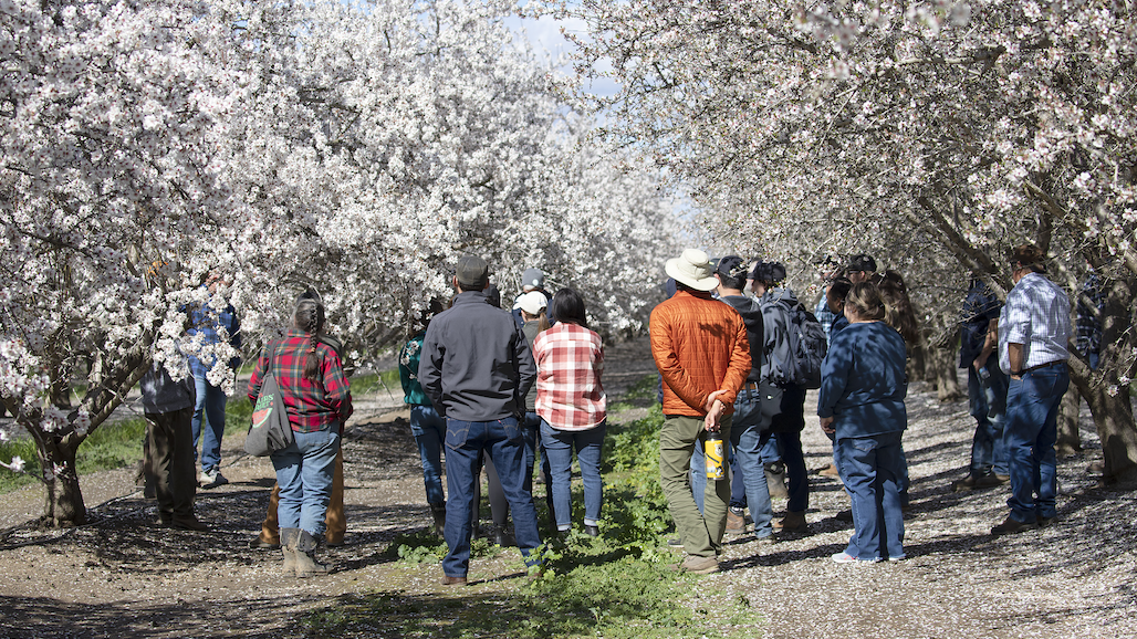 UC Awards Brodt $2M to Advance Soil Health, Climate-Smart Farming Practices