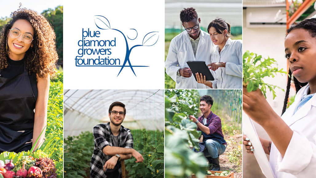 Blue Diamond Growers Foundation Announces 2023-2024 Scholarship Awards