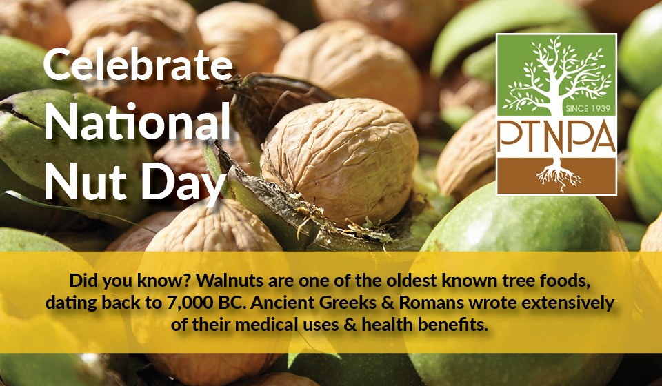 Peanut and Tree Nut Processors Association Celebrates National Nut Day