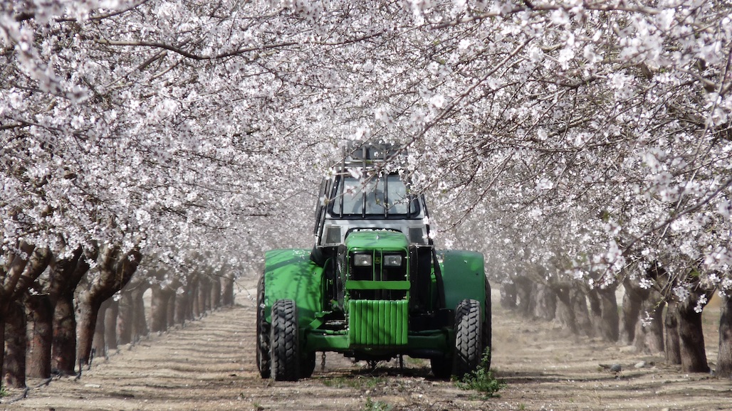 EPA Approves Section 18 Emergency Registration for Kasugamycin on Almonds