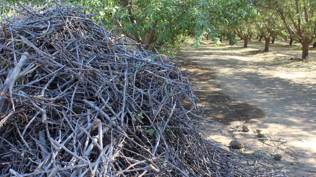 North San Joaquin Valley Issued ‘AA’ BDO Zone Rating For Tree Nut Biomass