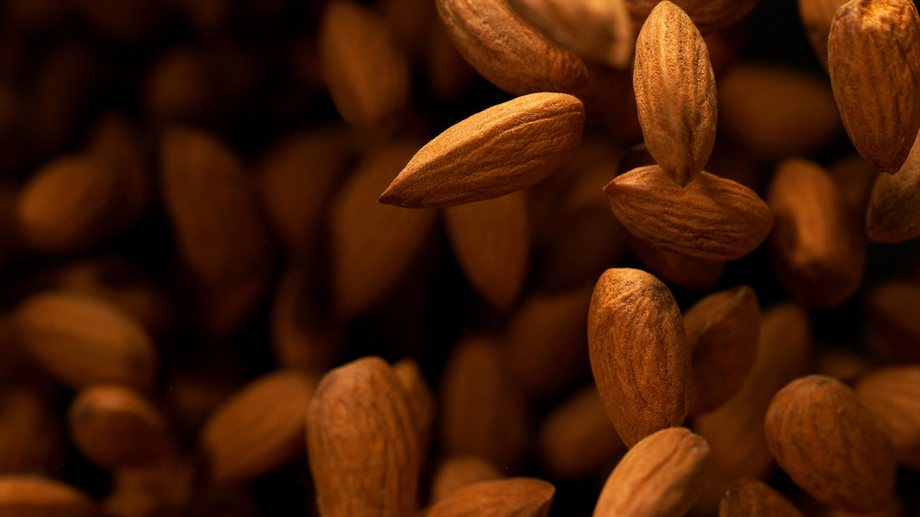 Almond Alliance Announces Leadership Transition