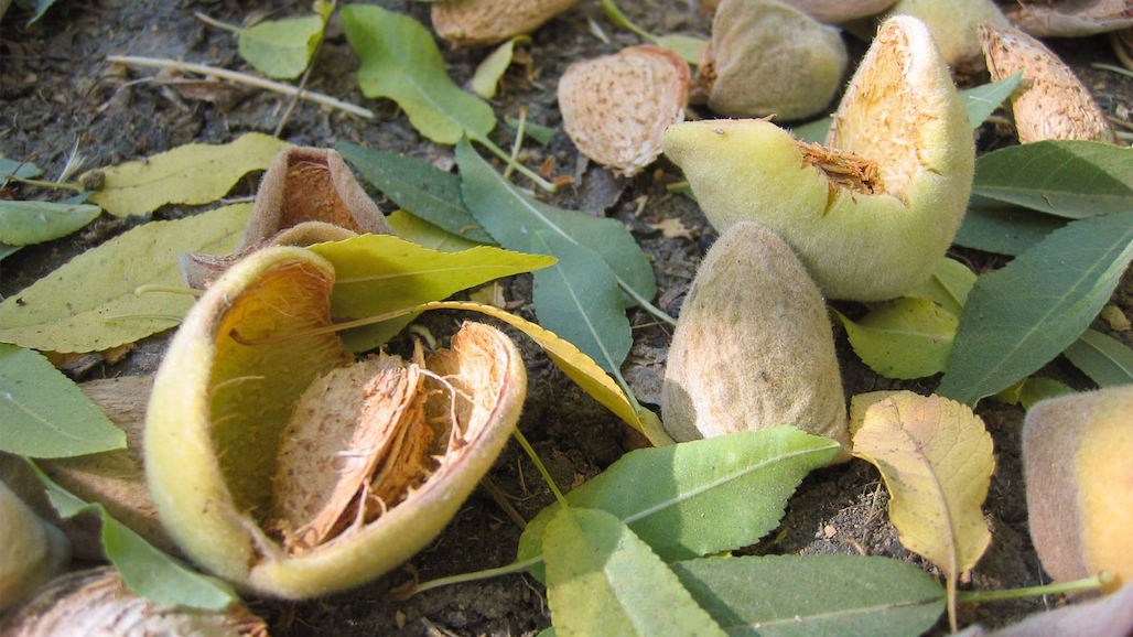 New Project Aims to Use Farm Waste to Fuel Bioeconomy