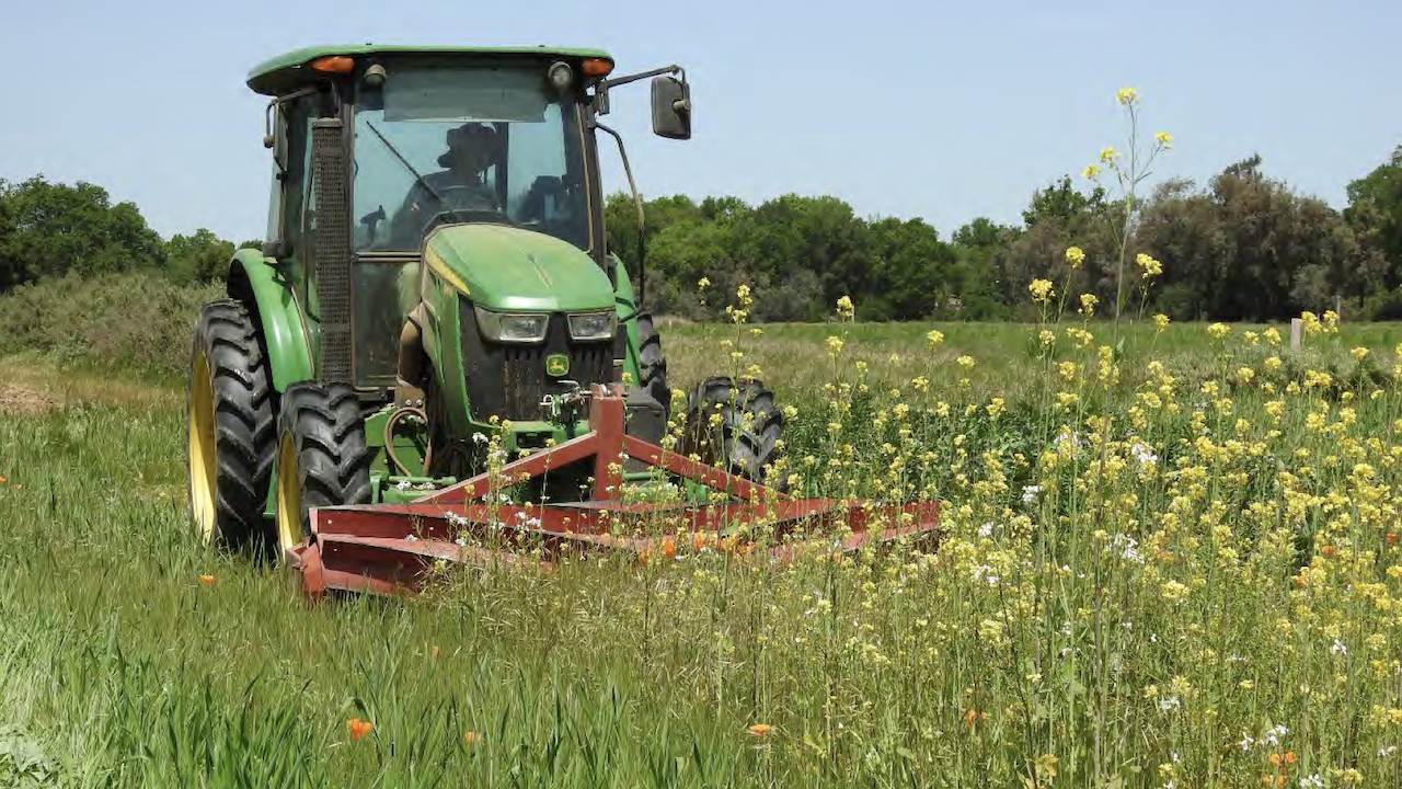 Roller Crimping – A Cover Crop Termination Option