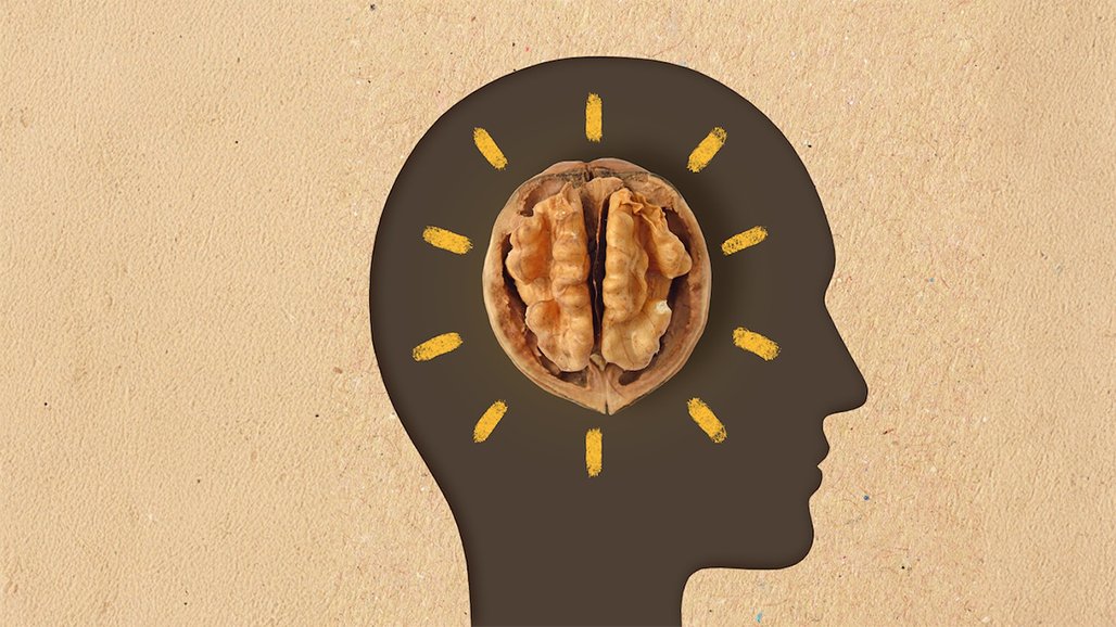 Walnut-Rich Breakfast May Help Boost Brain Power, Research Demonstrates
