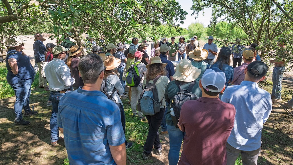 Regulators Gain First-Hand Insight at Almond Board Environmental Stewardship Tour