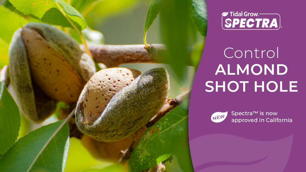 Shield Your Yield with Spectra™