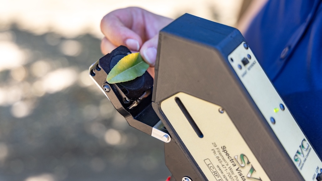AI Tool to Help Farmers Measure Real-Time Crop Health from the Field