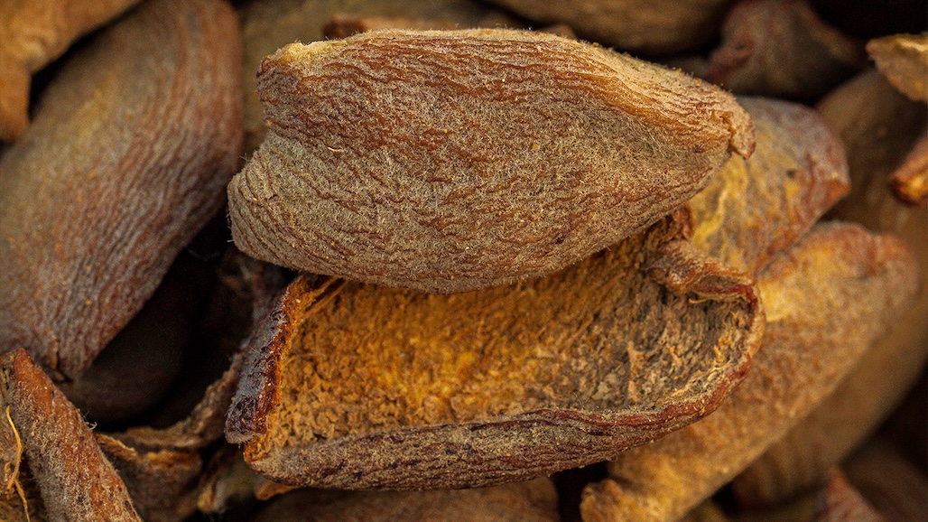 Commercializing Almond Hulls as Food Ingredients