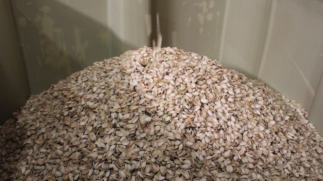 Turning Food Scraps into Opportunities