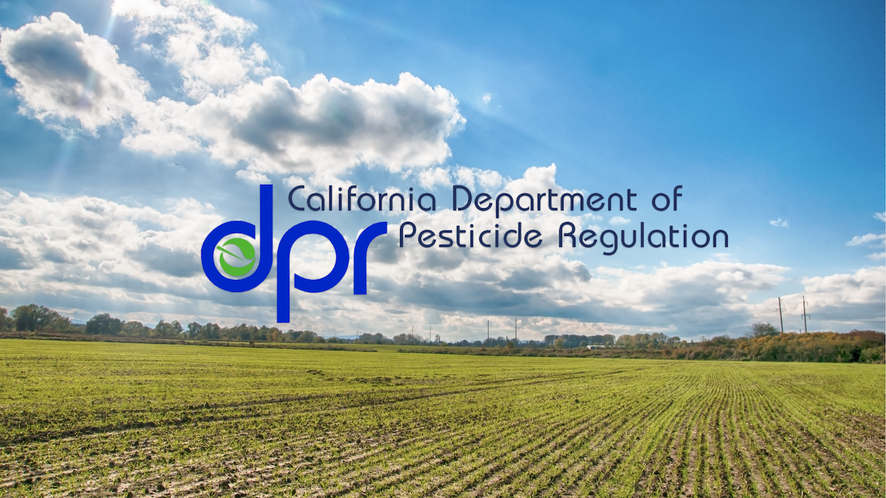 DPR Seeks Penalties Against Central Valley Aerial Pesticide Applicator for Drift into Almond Orchard