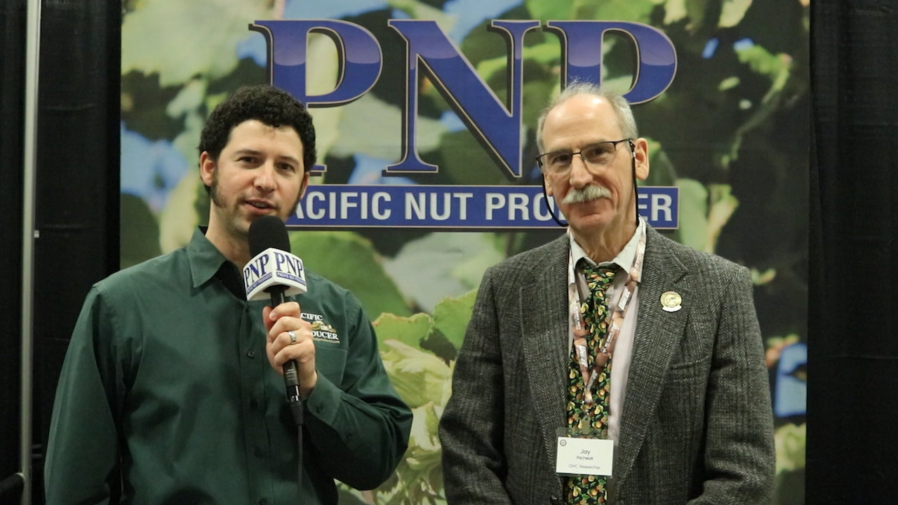 Fungicide Drenching to Combat Hazelnut Blight
