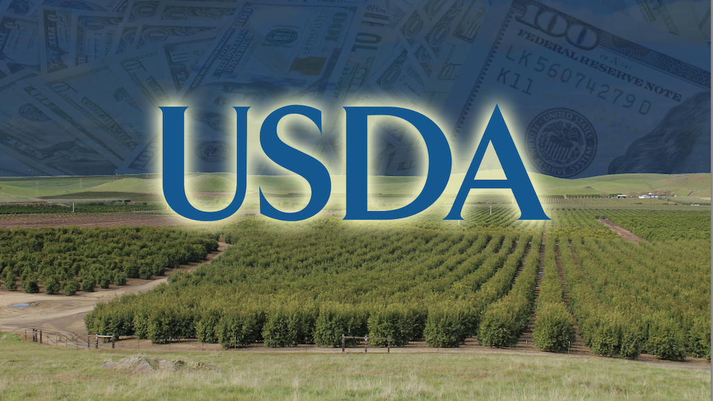 USDA Announces $25M for Tree Nuts in Purchase