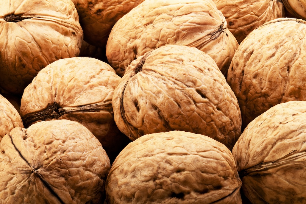 Bulgarian Tree Nut Market Sees Rapid Expansion